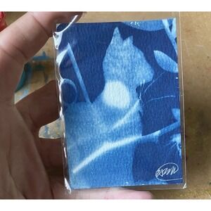 ACEO Original Cyanotype Cat Art Miniature painting nature Artwork surrealism USA